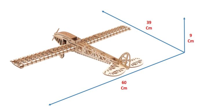 Wings Art 3D Dimensions