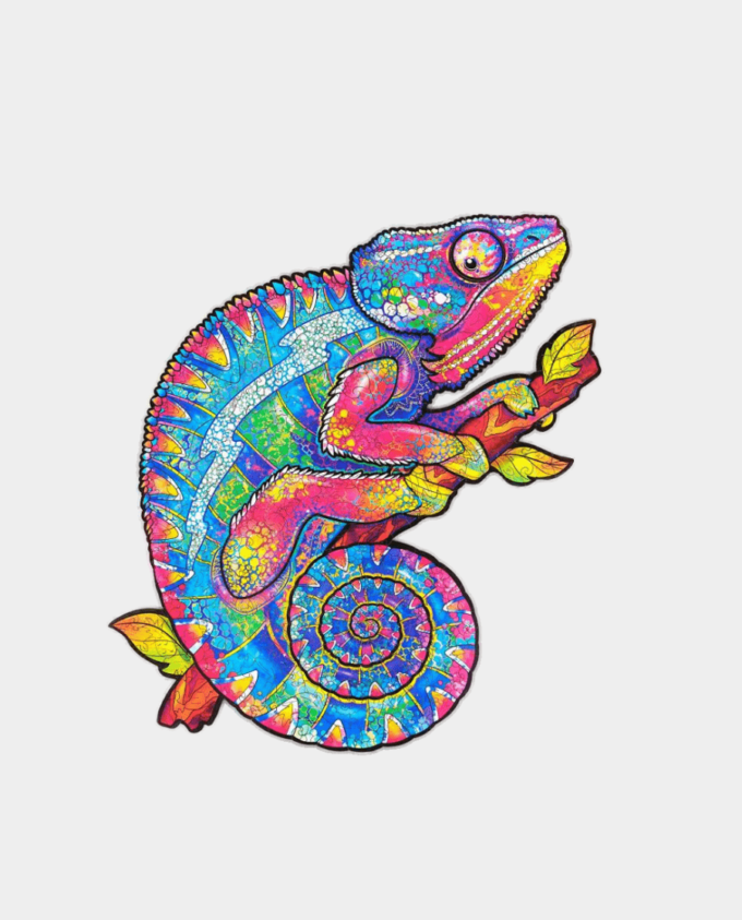 buy rainbow colors dragon 2d jigsaw